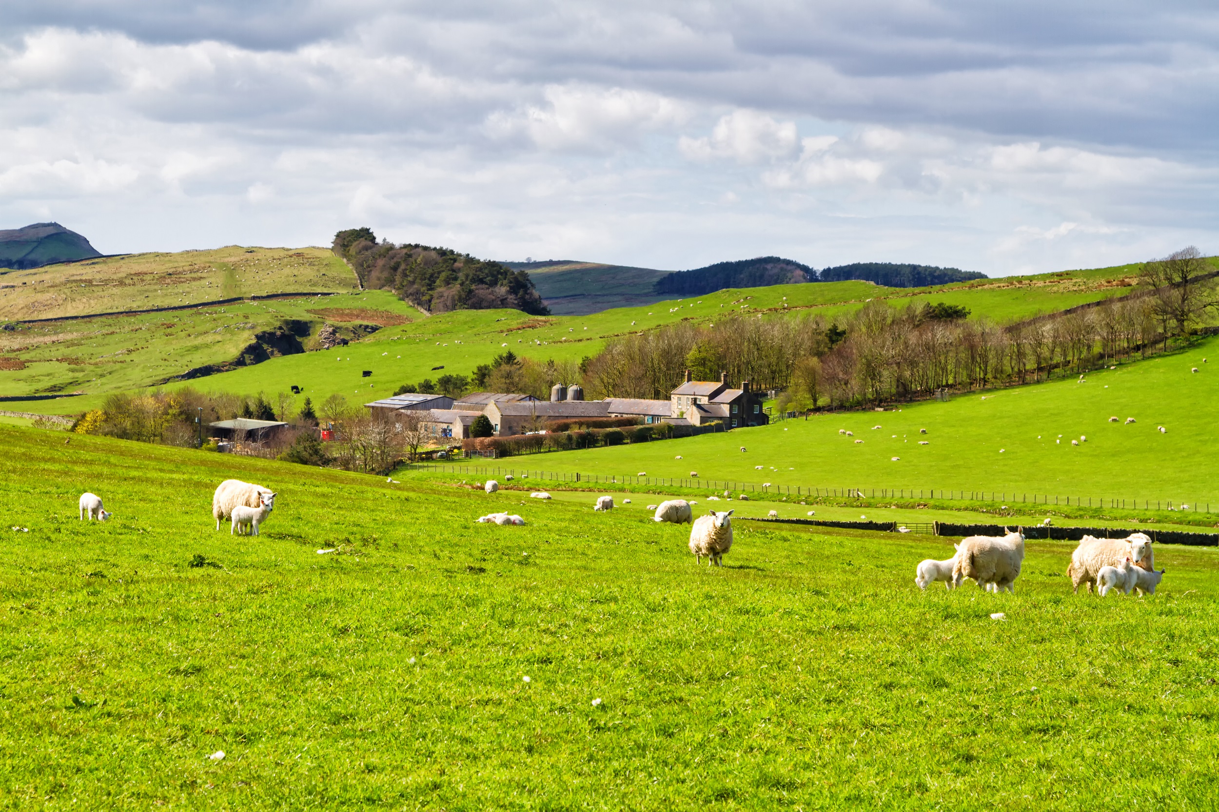 Agricultural land transactions – What you need to know